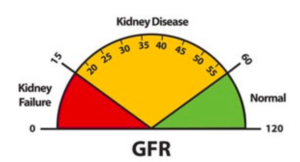 Gfr Levels Chart