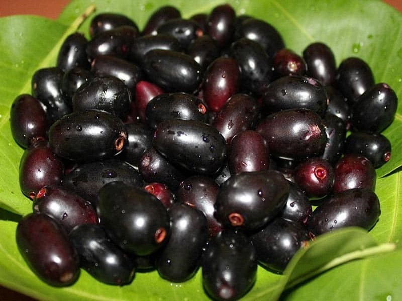 Monsoon Diet: Immunity-Boosting Fruits and Vegetables in the Rainy Season 8 kala